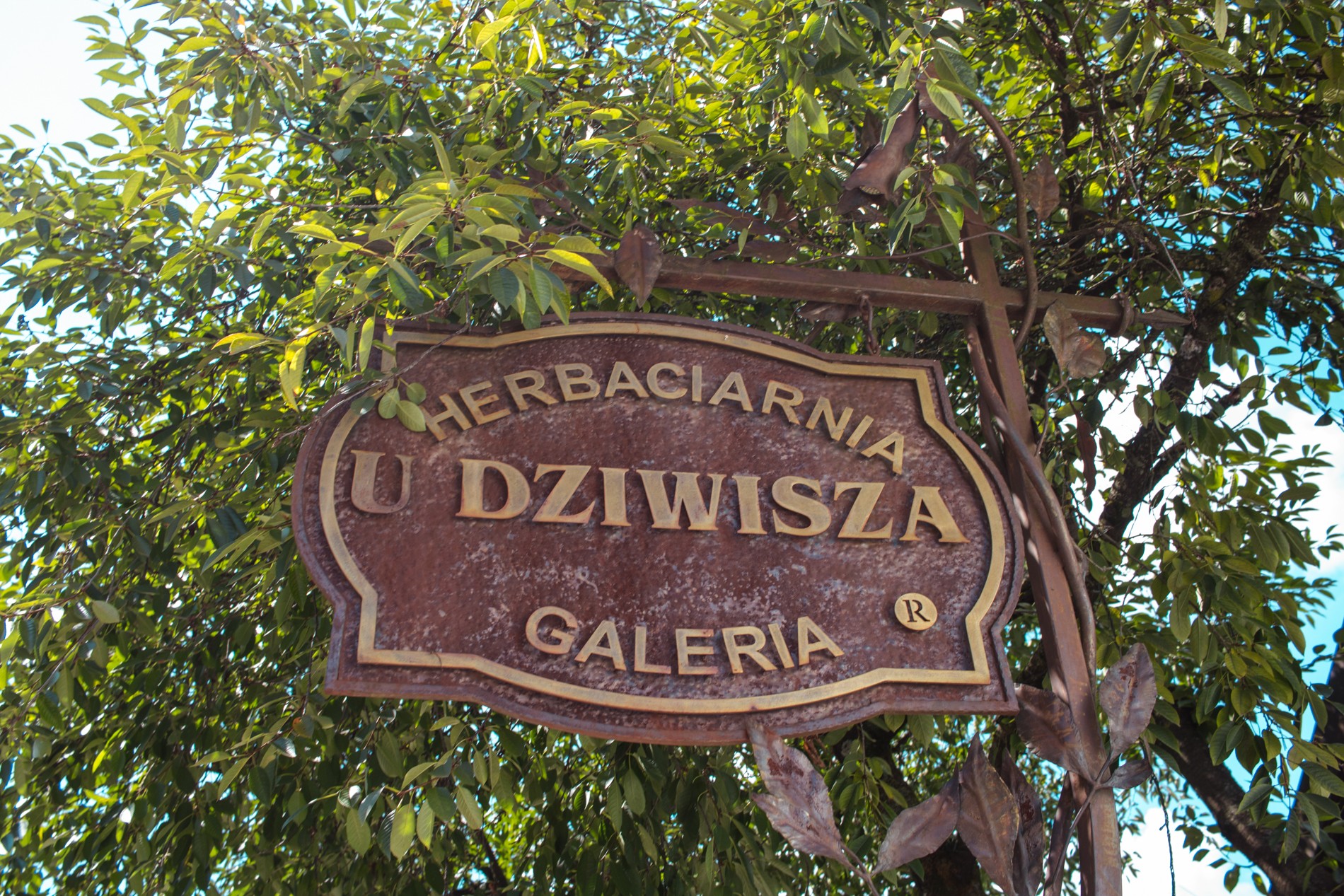 Herbaciarnia u Dziwisza w Kazimierzu Dolnym